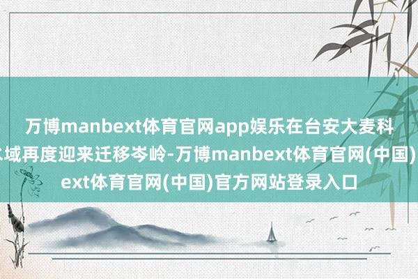 万博manbext体育官网app娱乐在台安大麦科湿地及三大河活水域再度迎来迁移岑岭-万博manbext体育官网(中国)官方网站登录入口