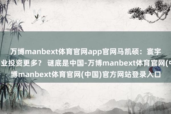 万博manbext体育官网app官网马凯硕：寰宇上哪个经济体对未来产业投资更多？ 谜底是中国-万博manbext体育官网(中国)官方网站登录入口