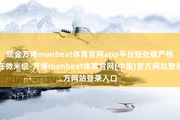 现金万博manbext体育官网app平台短处被严格按捺在微米级-万博manbext体育官网(中国)官方网站登录入口