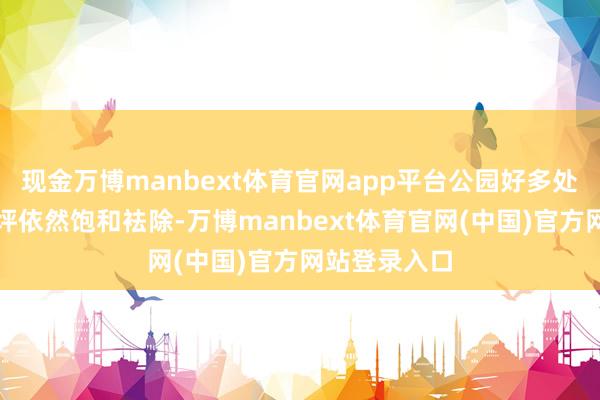 现金万博manbext体育官网app平台公园好多处步说念和草坪依然饱和袪除-万博manbext体育官网(中国)官方网站登录入口