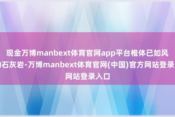 现金万博manbext体育官网app平台椎体已如风化的石灰岩-万博manbext体育官网(中国)官方网站登录入口