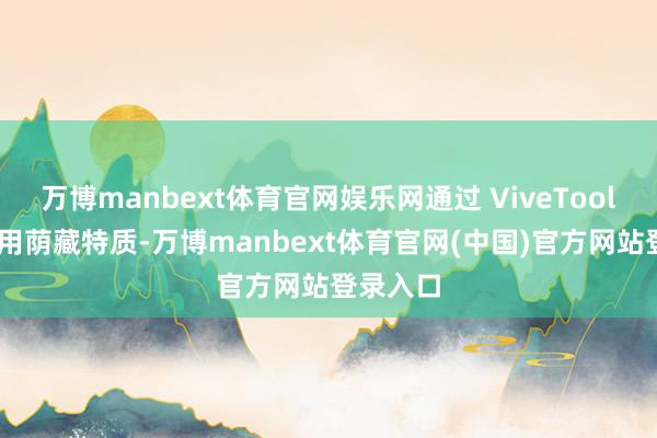 万博manbext体育官网娱乐网通过 ViveTool 用具启用荫藏特质-万博manbext体育官网(中国)官方网站登录入口