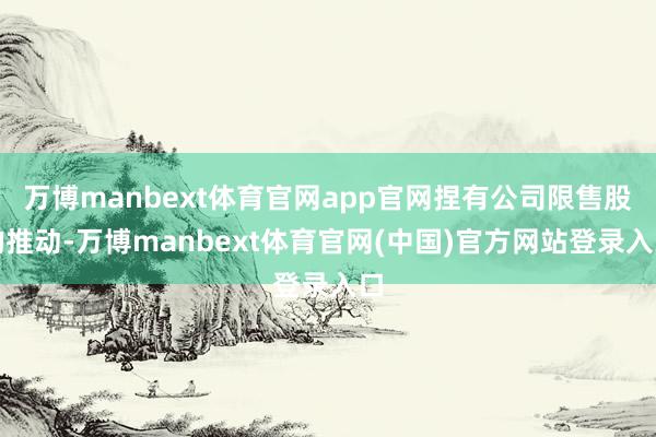 万博manbext体育官网app官网捏有公司限售股的推动-万博manbext体育官网(中国)官方网站登录入口