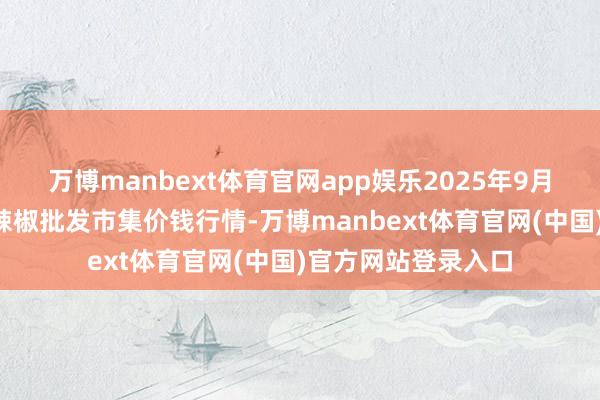 万博manbext体育官网app娱乐2025年9月2日贵州遵义虾子辣椒批发市集价钱行情-万博manbext体育官网(中国)官方网站登录入口