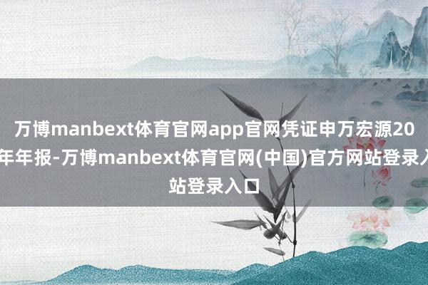 万博manbext体育官网app官网凭证申万宏源2025年年报-万博manbext体育官网(中国)官方网站登录入口