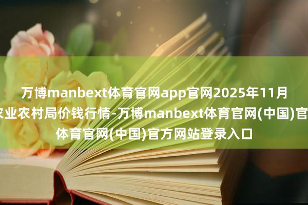 万博manbext体育官网app官网2025年11月14日江苏丰县农业农村局价钱行情-万博manbext体育官网(中国)官方网站登录入口